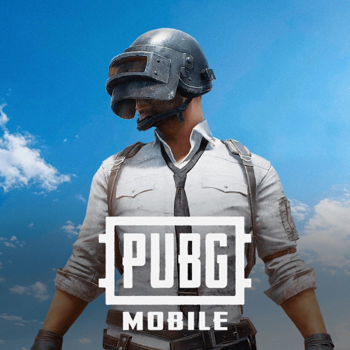 Pubg pubgmobile